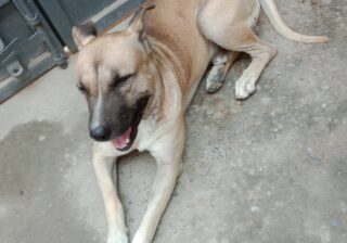  Insan or janwar me kya fark hai janiye