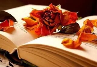 Romantic tips Happy Rose  day 2025