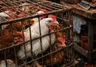 मौत कैसे होती है — एक एहसास, एक सच्चाई