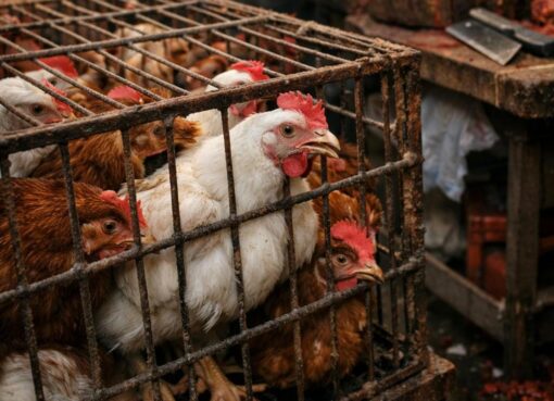 मौत कैसे होती है — एक एहसास, एक सच्चाई